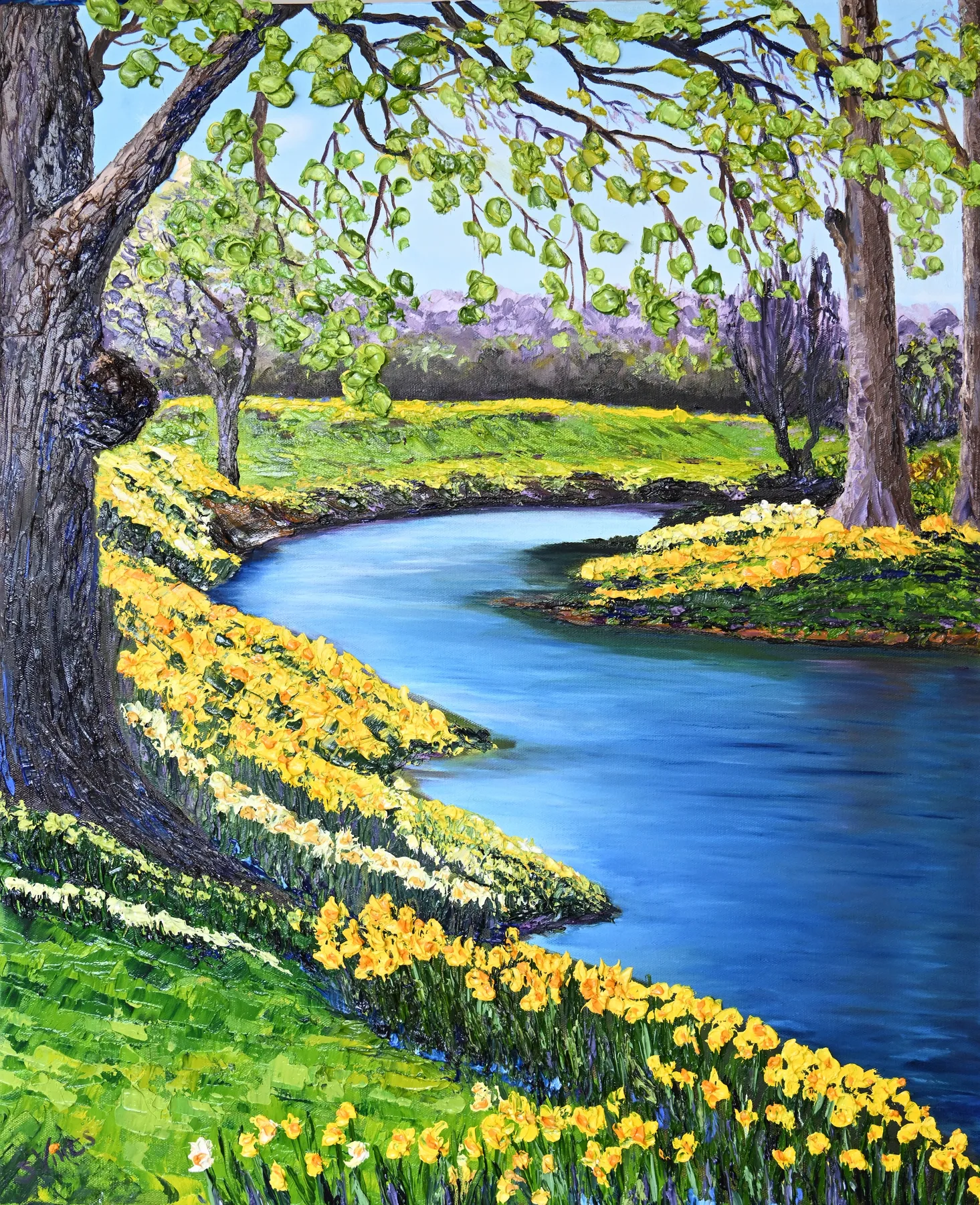 Daffodil Drift
